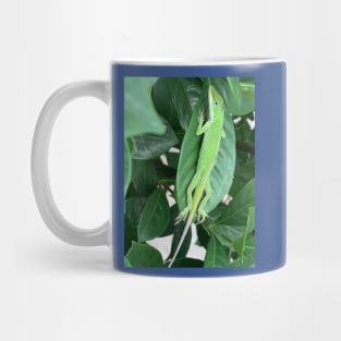 Green anole Mug